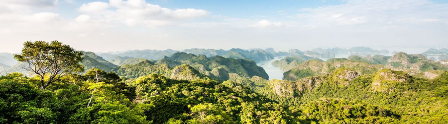 Complete guide to Cat Ba National Park